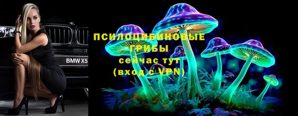сатива Балабаново