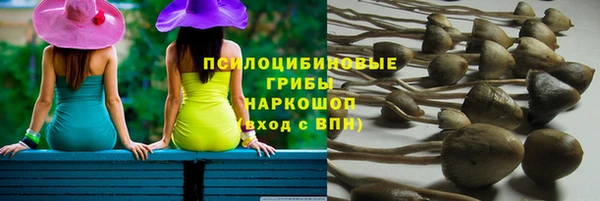 бутират Баксан