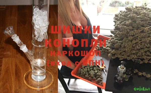ГАЛЛЮЦИНОГЕННЫЕ ГРИБЫ Балахна