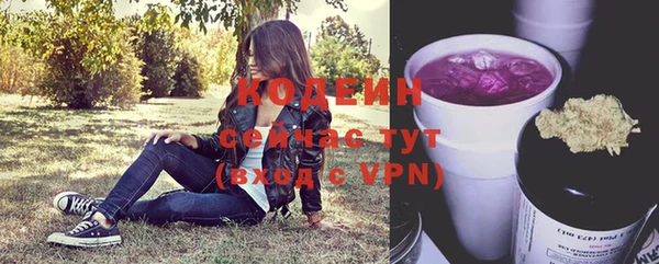 ГАЛЛЮЦИНОГЕННЫЕ ГРИБЫ Балахна