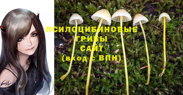 бутират Баксан