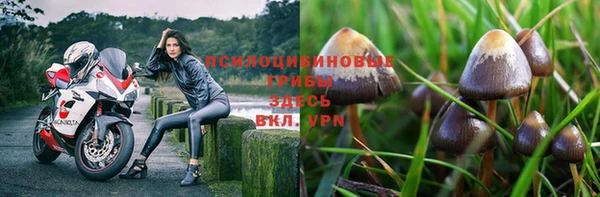 ГАЛЛЮЦИНОГЕННЫЕ ГРИБЫ Балахна