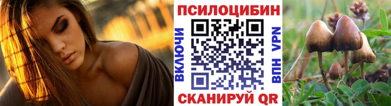 Галлюциногенные грибы MAGIC MUSHROOMS  Кондрово 